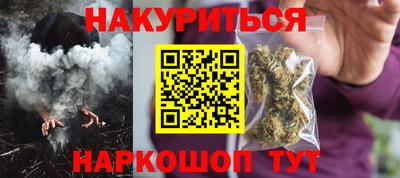 прущие грибы Новозыбков