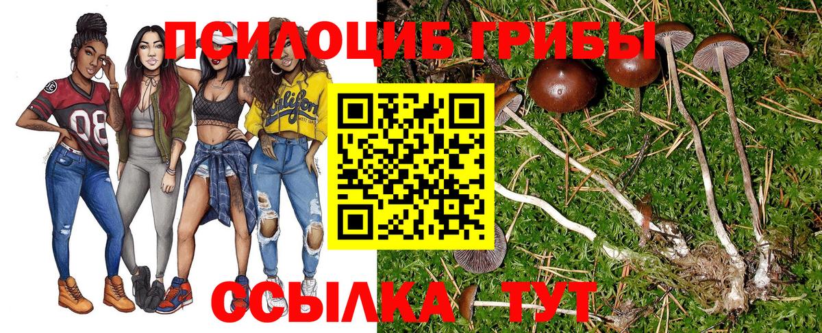 Галлюциногенные грибы Magic Shrooms Рассказово